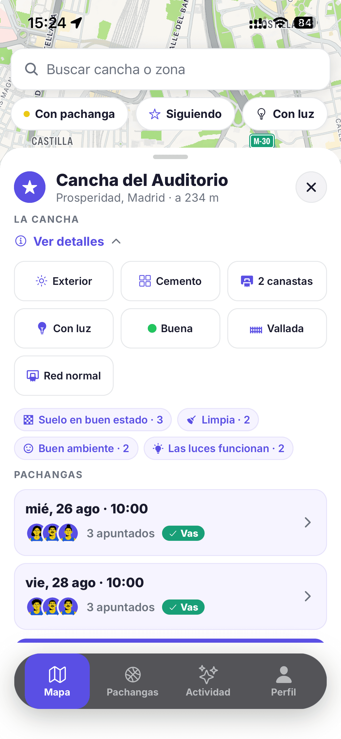 Detalle de una cancha en Rookie